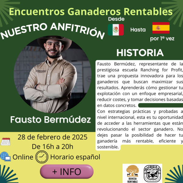 Webinar Fausto Bermúdez